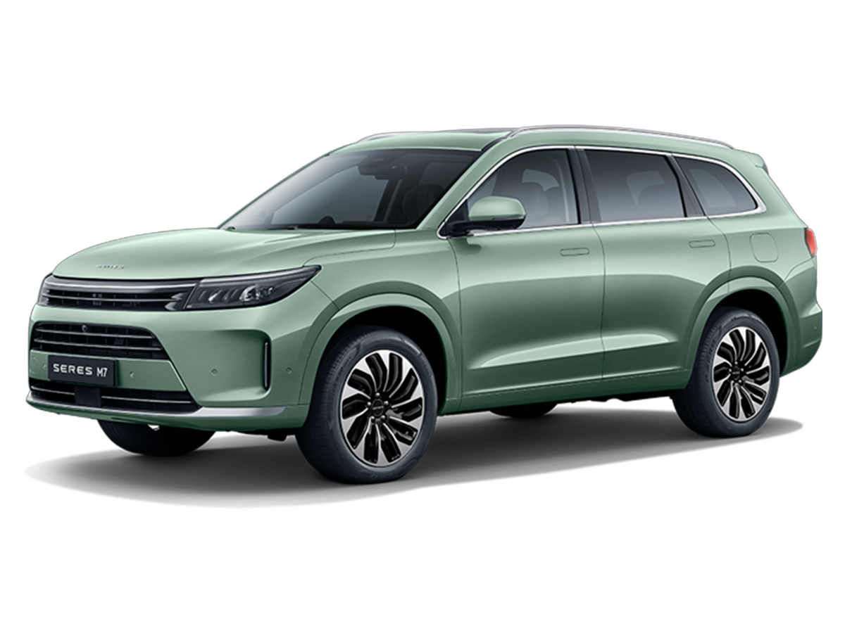 Зеленая морозная сосна